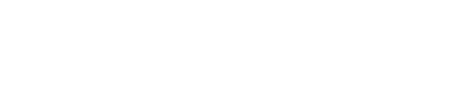 NERALIS AGENCY